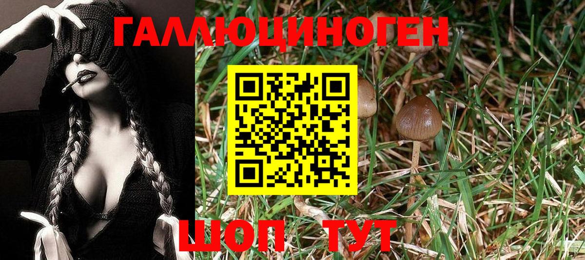 Псилоцибиновые грибы мицелий  Вход с VPN  Тобольск 